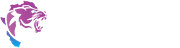 The logo of Find More Africa